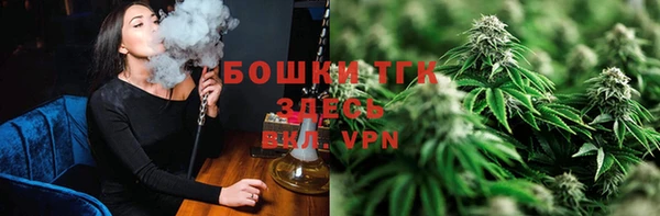 прущая мука Арсеньев