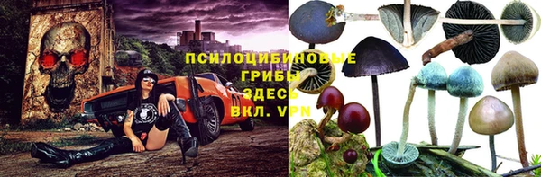 прущая мука Арсеньев