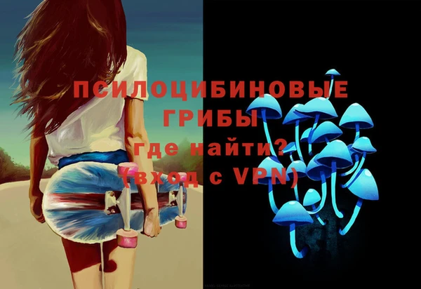 прущая мука Арсеньев